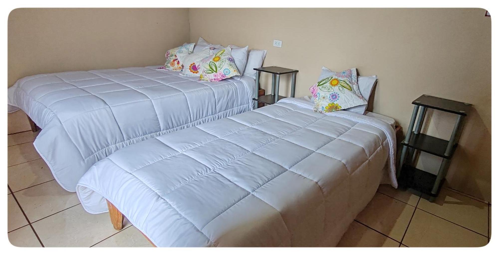 Hostel Coati Place Bed & Breakfast Adults Only Monteverde Екстер'єр фото